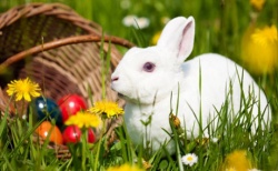 Osterhase schenkt reichlich